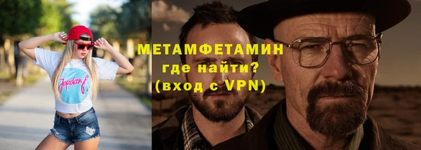 шишки Ельня