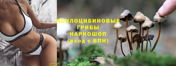 каннабис Гусиноозёрск