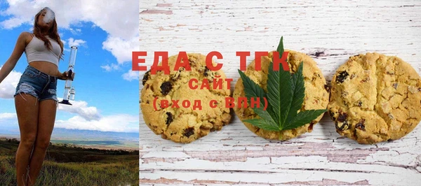 шишки Ельня