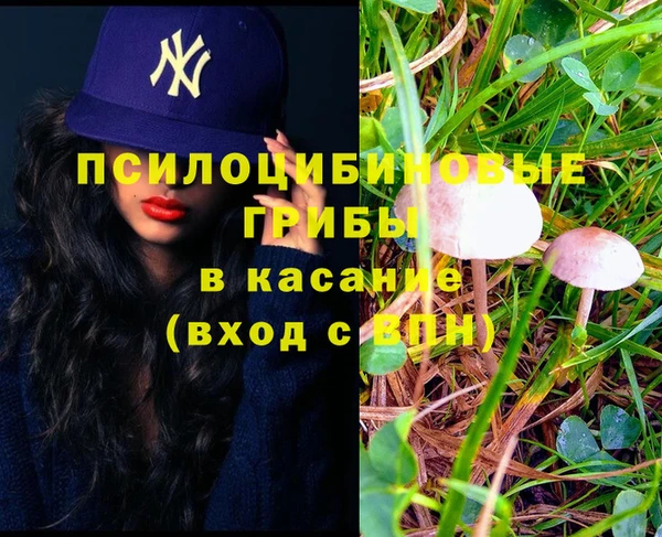 кокс Гусь-Хрустальный