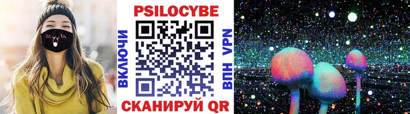 Галлюциногенные грибы Psilocybine cubensis  Сочи 