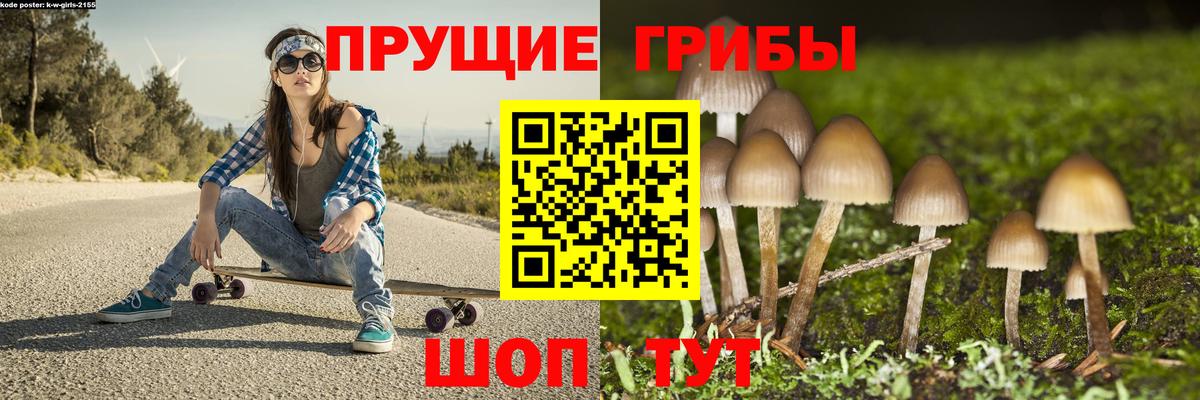 Сочи  Галлюциногенные грибы Psilocybine cubensis  Вход с VPN  Галлюциногенные грибы MAGIC MUSHROOMS 